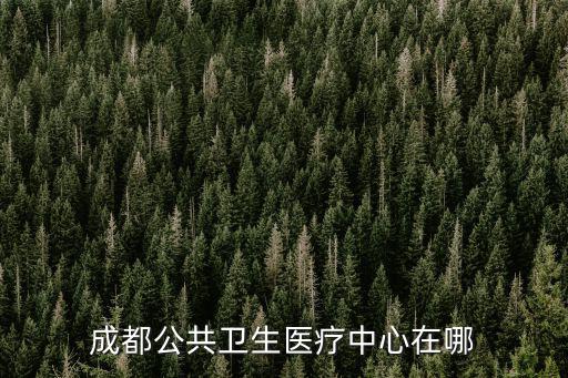 成都公共衛生醫療中心在哪