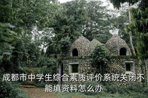 成都市初中生綜合素質評價平臺官網，成都市中學生綜合素質評價系統關閉不能填資料怎么辦