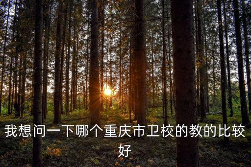 我想問一下哪個重慶市衛(wèi)校的教的比較好