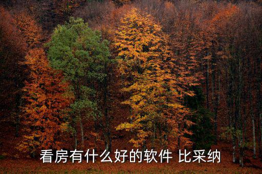 看房有什么好的軟件 比采納