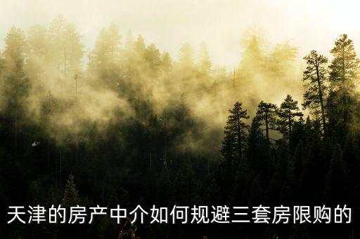 天津的房產(chǎn)中介如何規(guī)避三套房限購的