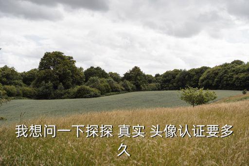 真實頭像,probing探索真實頭像認(rèn)證不是我過不了