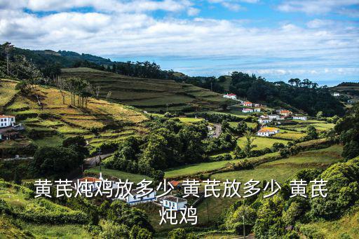  黃芪燉雞放多少 黃芪放多少 黃芪燉雞