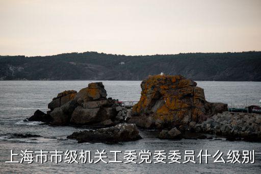 上海市委機關(guān)工委，上海市市級機關(guān)工委黨委委員什么級別