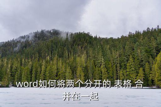 word如何將兩個分開的 表格 合并在一起