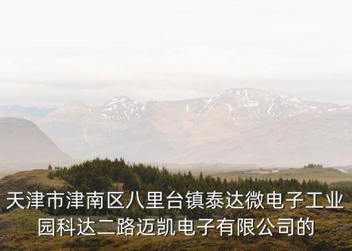 天津市津南區八里臺鎮泰達微電子工業園科達二路邁凱電子有限公司的