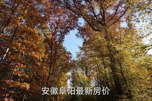 安徽阜陽最新房價