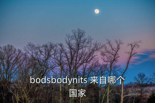 bodsbodynits 來自哪個(gè)國家