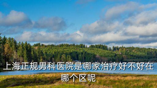 上海正規(guī)男科醫(yī)院是哪家治療好不好在哪個(gè)區(qū)呢