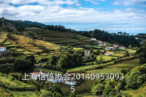 上海市信鴿協(xié)會2019超遠程，上海市閔行區(qū)信鴿協(xié)會地址在哪