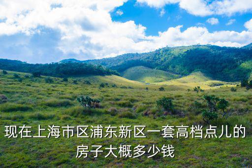 現(xiàn)在上海市區(qū)浦東新區(qū)一套高檔點兒的房子大概多少錢