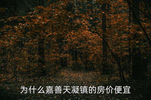 為什么嘉善天凝鎮(zhèn)的房價(jià)便宜
