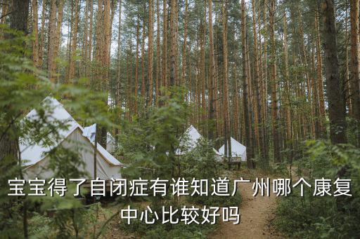 寶寶得了自閉癥有誰知道廣州哪個康復中心比較好嗎