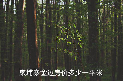 柬埔寨金邊房價多少一平米