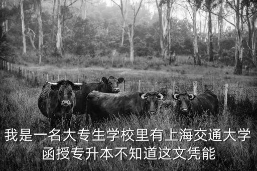我是一名大專生學校里有上海交通大學函授專升本不知道這文憑能