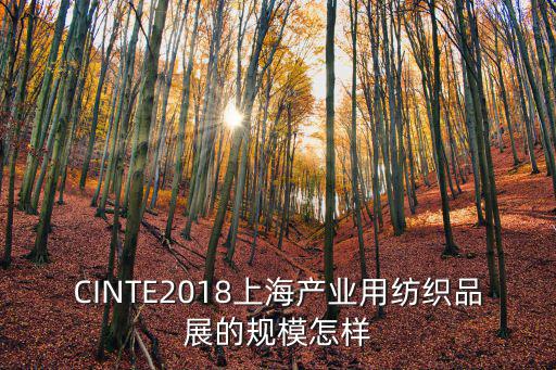 上海市2018十大刑偵標兵，想在上海當刑警哪個大學出來機會最大