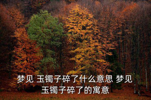  夢見 玉鐲子碎了什么意思 夢見 玉鐲子碎了的寓意