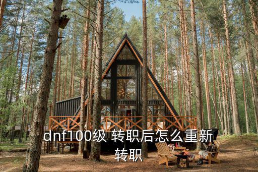  dnf100級 轉職后怎么重新 轉職