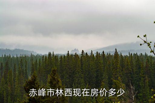 赤峰市林西現(xiàn)在房價(jià)多少