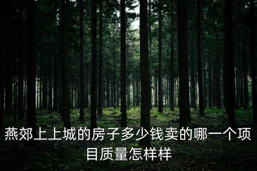 燕郊上上城的房子多少錢賣的哪一個項目質量怎樣樣