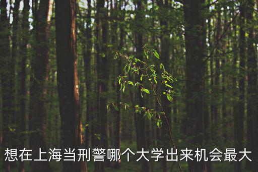 想在上海當(dāng)刑警哪個(gè)大學(xué)出來機(jī)會(huì)最大