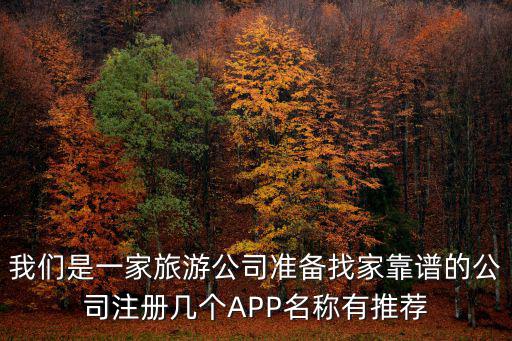 網上注冊公司下載什么軟件，企業網上零申報需要下載什么軟件呢