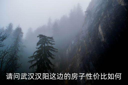 請問武漢漢陽這邊的房子性價比如何