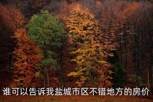 誰可以告訴我鹽城市區不錯地方的房價