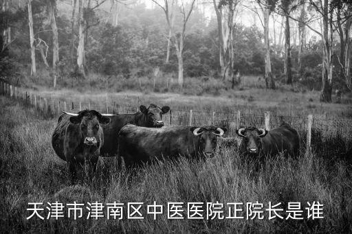 天津市津南區中醫醫院正院長是誰