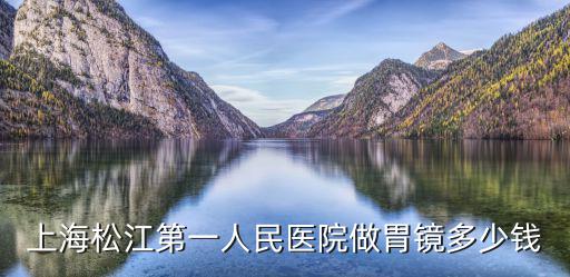 上海松江第一人民醫(yī)院做胃鏡多少錢(qián)