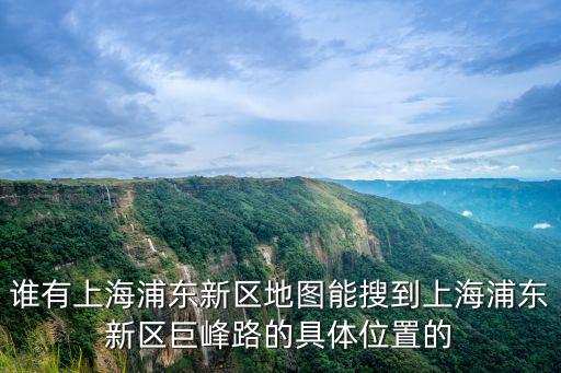 誰有上海浦東新區地圖能搜到上海浦東新區巨峰路的具體位置的