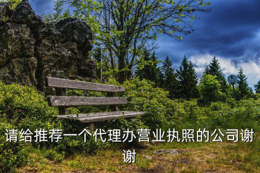 請(qǐng)給推薦一個(gè)代理辦營(yíng)業(yè)執(zhí)照的公司謝謝