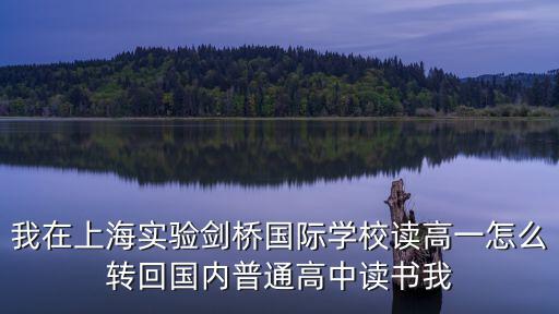 我在上海實驗劍橋國際學校讀高一怎么轉回國內普通高中讀書我