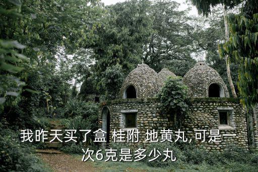 桂附地黃丸說明書,附子理中丸主要具有壯陽不養陰作用