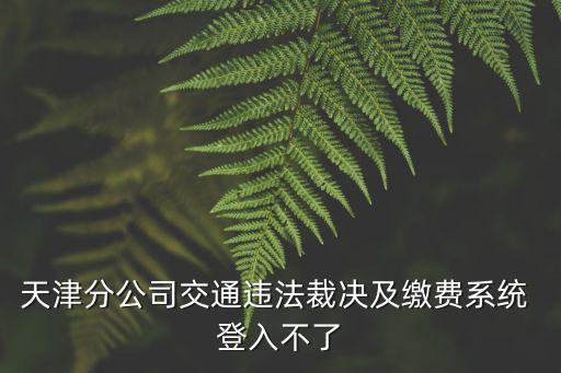 天津分公司交通違法裁決及繳費系統 登入不了
