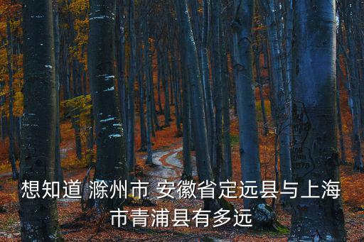 想知道 滁州市 安徽省定遠縣與上海市青浦縣有多遠