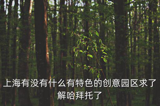 上海創(chuàng)業(yè)園區(qū)有哪些，上海有沒有什么有特色的創(chuàng)意園區(qū)求了解哈拜托了