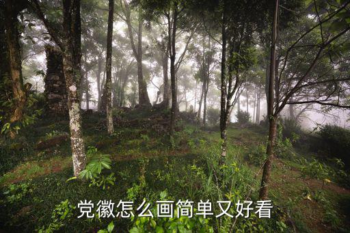 黨徽怎么畫簡單又好看