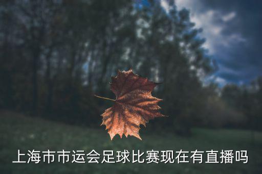上海市市運(yùn)會(huì)足球比賽現(xiàn)在有直播嗎