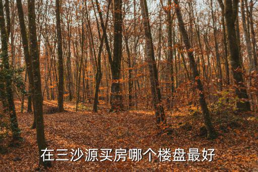在三沙源買房哪個樓盤最好