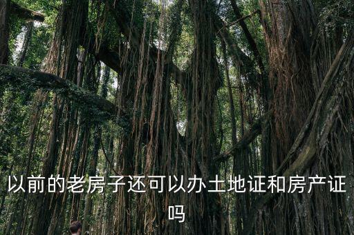以前的老房子還可以辦土地證和房產證嗎