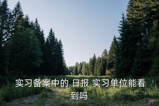  實習備案中的 日報 實習單位能看到嗎