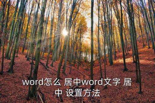 word怎么 居中word文字 居中 設置方法