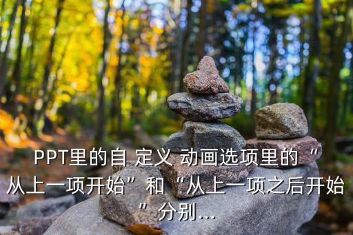 PPT里的自 定義 動畫選項里的“從上一項開始”和“從上一項之后開始”分別...