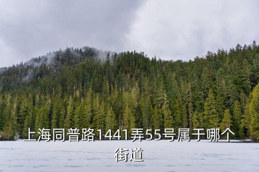 上海同普路1441弄55號屬于哪個街道