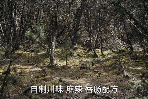 自制川味 麻辣 香腸配方
