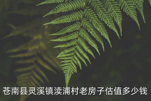蒼南縣靈溪鎮瀆浦村老房子估值多少錢