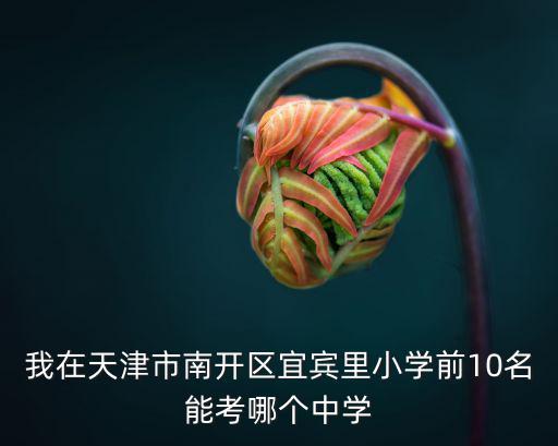 我在天津市南開區宜賓里小學前10名能考哪個中學