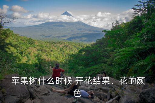  蘋果樹什么時候 開花結果、花的顏色