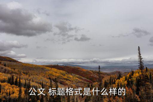  公文 標(biāo)題格式是什么樣的